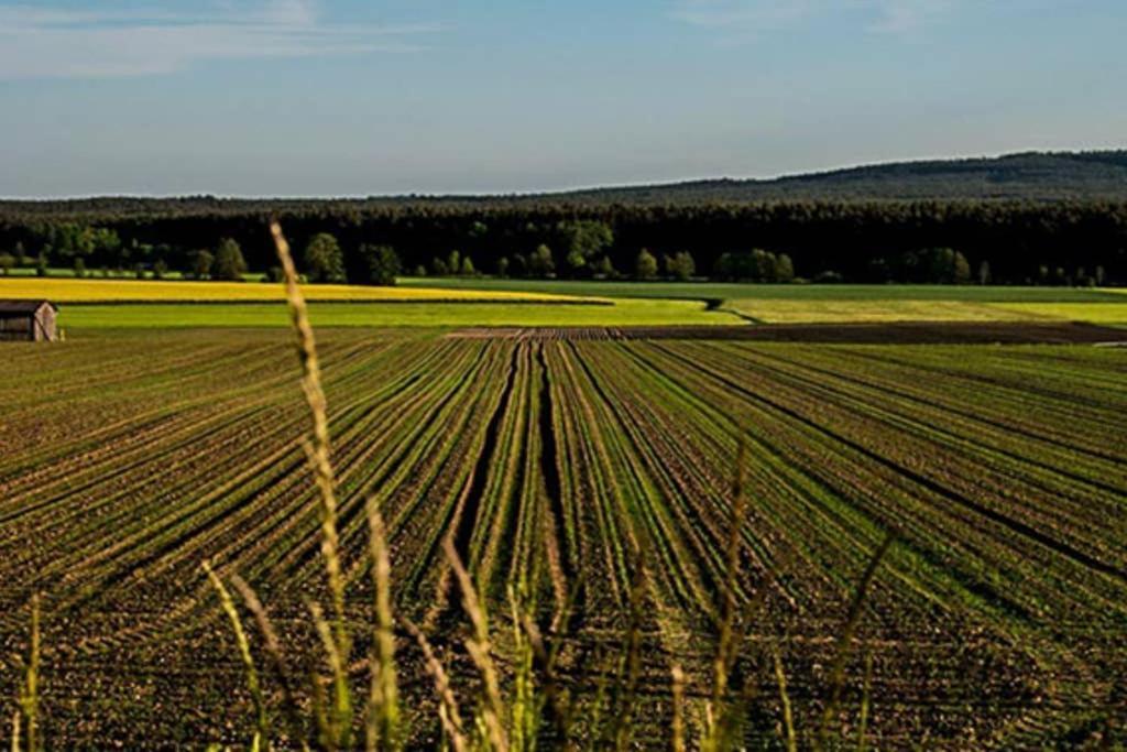 Gaestehaus Kohlberg Kohlberg  Eksteriør billede